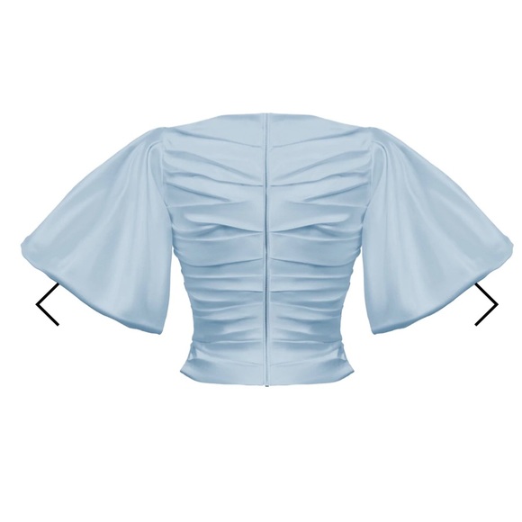 Rozie Corsets: PUFF SLEEVE DRAPED SILK TOP - Picture 2 of 4